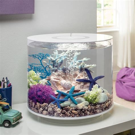 Amazon.com: Fish Tank Theme