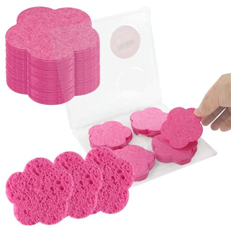 Amazon.com: Flower Sponge