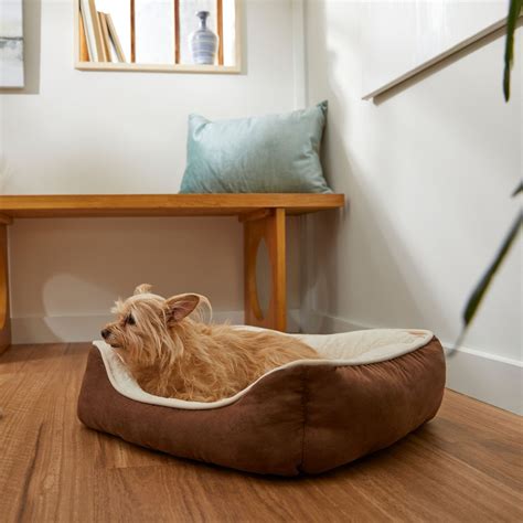 Amazon.com: Frisco Rectangular Bolster Pet Bed