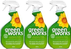 Amazon.com: Green Clorox Spray