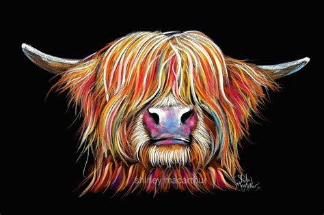 Amazon.com: Highland Cow Art