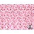 Amazon.com: Minky Rosebud Light Pink Fabric by The Yard