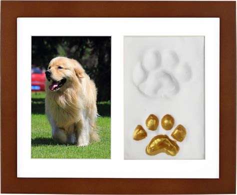 Amazon.com: Paw Print Clay Kit