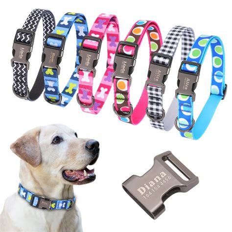 Amazon.com: Petco Collar