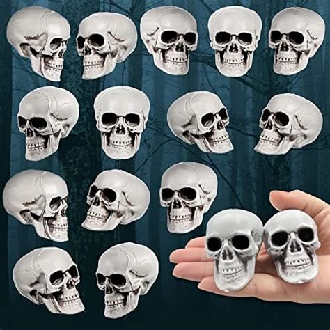 Amazon.com: Plastic Skull Heads