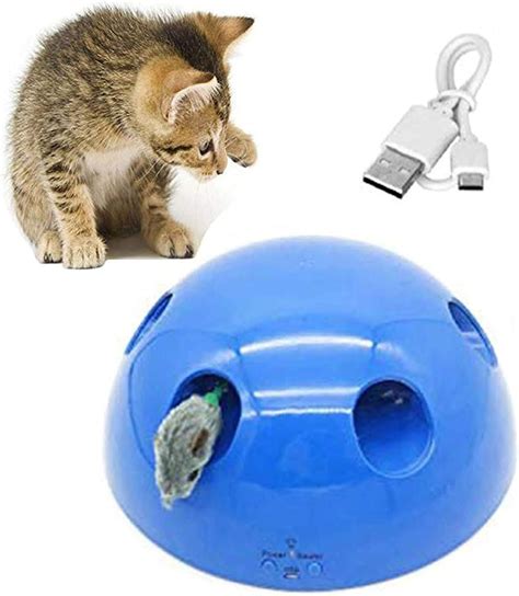 Amazon.com: Pop N Play For Cats