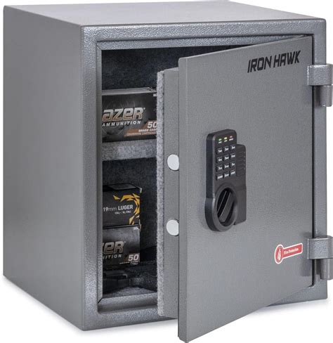 Amazon.com: Portable Safes