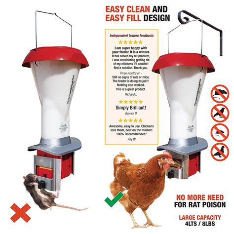 Amazon.com: Poultry Feed