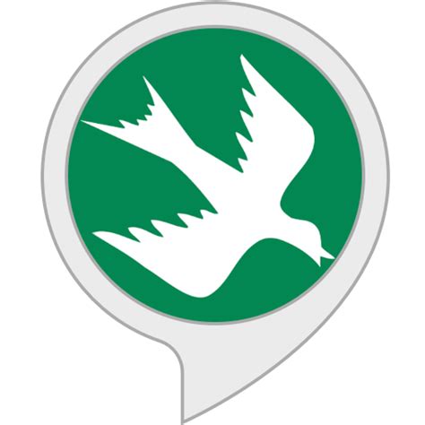 Amazon.com: Rain Bird : Alexa Skills