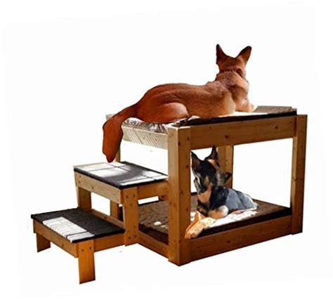 Amazon.com: Raised Dog Platform