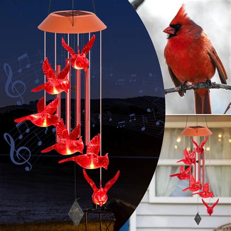 Amazon.com: Red Cardinal Decorations