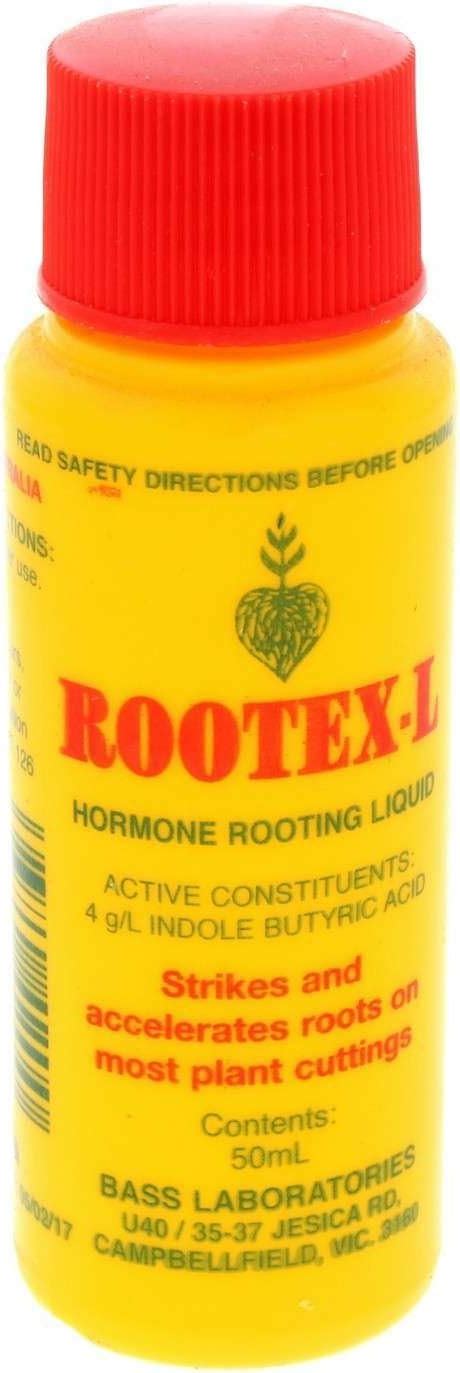 Amazon.com: Rootex