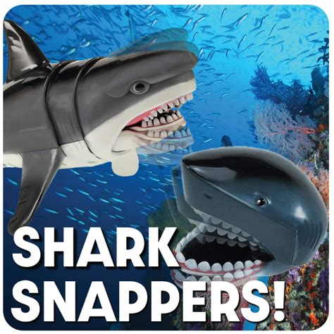 Amazon.com: Safari 871280 Snapper Great White Shark : …