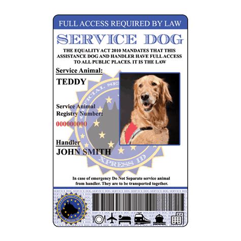 Amazon.com: Service Dog Badges