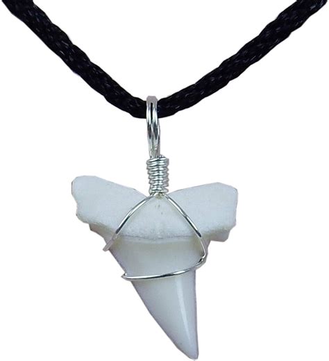 Amazon.com: Shark tooth necklaces