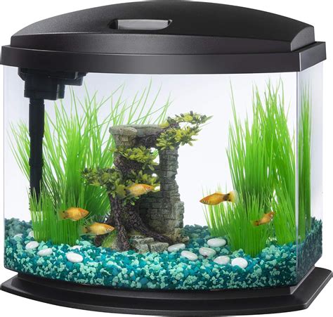 Amazon.com: Small Fish Tank