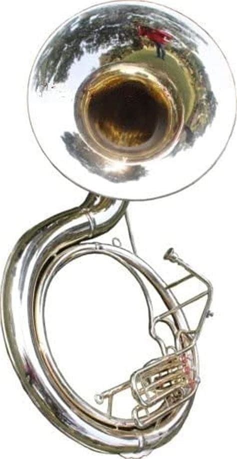 Amazon.com: Sousaphones - Sousaphones / Brass Instruments: …