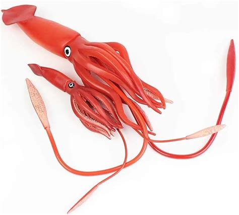 Amazon.com: Squid Toys