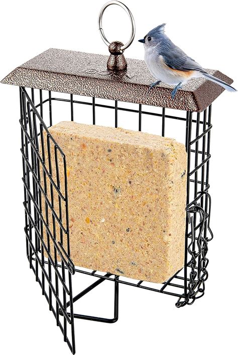 Amazon.com: Suet Feeder