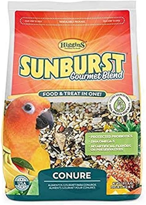 Amazon.com: Sunburst Conure Food