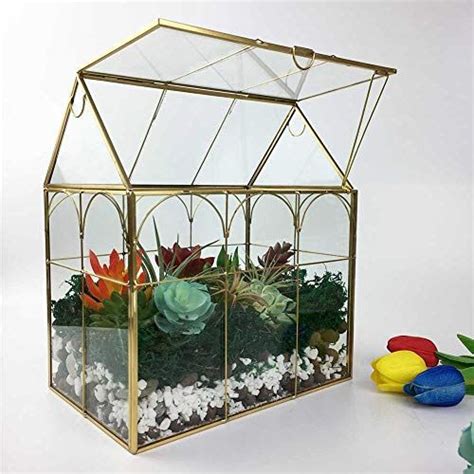 Amazon.com: Tabletop Terrarium