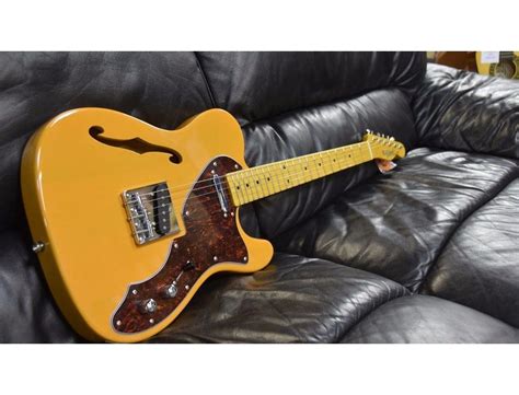 Amazon.com: Thinline Telecaster