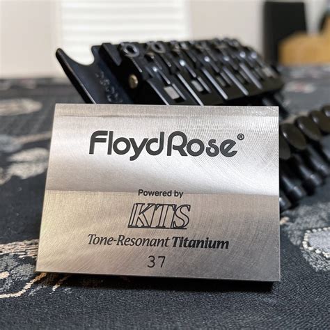 Amazon.com: Titanium Floyd Rose