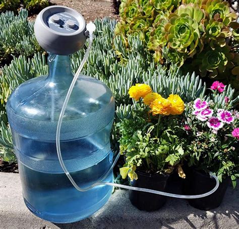 Amazon.com: Water Bottle Plant Waterer