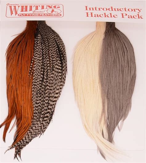 Amazon.com: Whiting Hackle