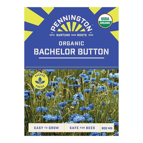 Amazon.com: bachelor button seeds