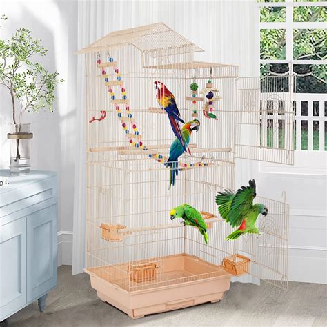 Amazon.com: bird cages