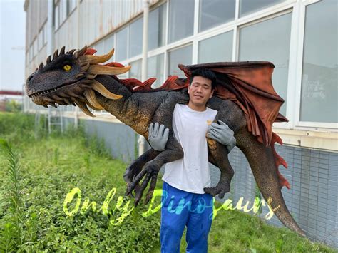 Amazon.com: dragon shoulder puppet