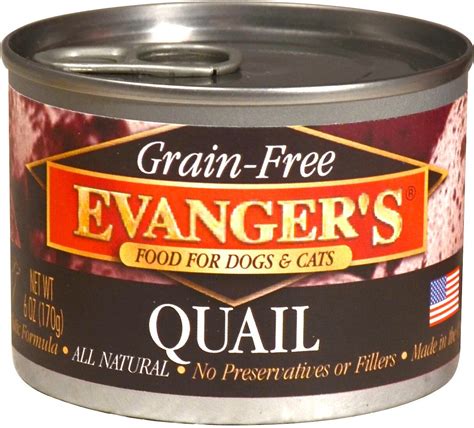 Amazon.com: evangers canned cat food