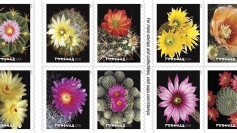 Amazon.com: flower stamps postage