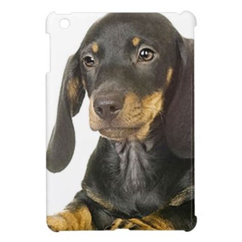 Amazon.com: iPad Mini Case Dachshund iPad Mini …