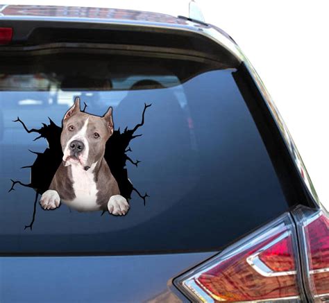 Amazon.com: pitbull stickers decals