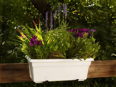 Amazon.com: small window box planter