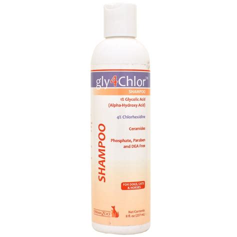 Amazon.com : DermaZoo Gly4Chlor Shampoo (8 fl oz) : Pet Supplies