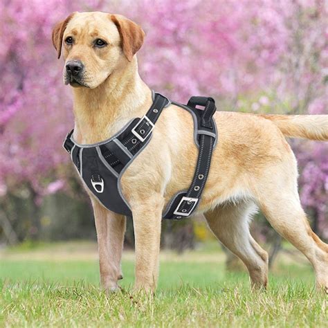 Amazon.com : Dog Harness No Pull Reflective Pet Harness …