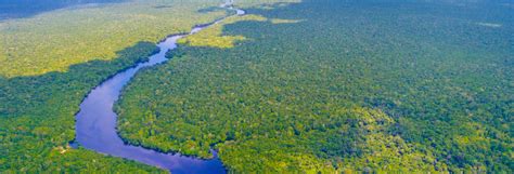 Amazonie