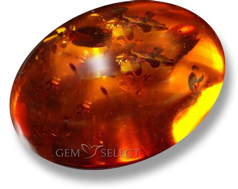 Amber Gem Onlyfans Leak