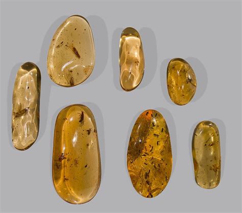 Amber Value Price And Jewelry Information International Gem Society