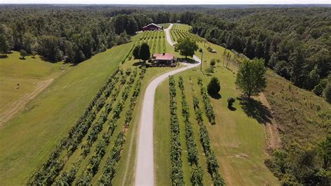 Amber falls winery. Find the best local price for Amber Falls Winery & Cellars Cajunfest, Tennessee, USA. Avg Price (ex-tax) $14 / 750ml. Find and shop from stores and merchants near you in USA 