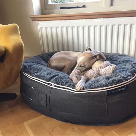 Ambient lounge dog bed. Made with our special internal elastic system, the pet Lounge allows your dog to curl up and feel secured with the soft surface and the outer walls. As used by the Fast UK delivery of soft luxury furniture & dog beds. ... The Ambient Lounge Large Dog Bed holds approx. 220-300 liters of beans, but this may vary a little depending on the filling ... 