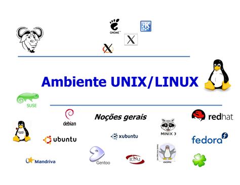 Ambiente Unix