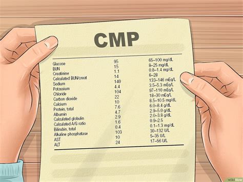 The Cmp14 Blood Test is an essential tool for heal