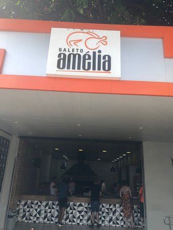 Amelia Amelia Photo Recife