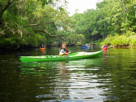 Amelia Island Kayaking & Canoeing Guided Tours, Kayak …