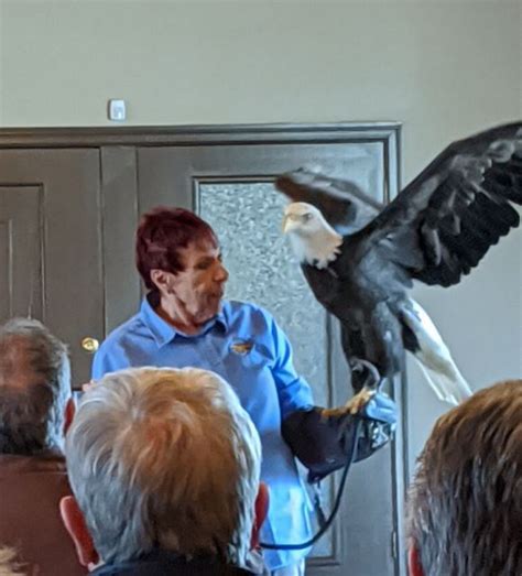 Ameren’s Eagle Days Returns This Saturday – News/ Talk KRMS