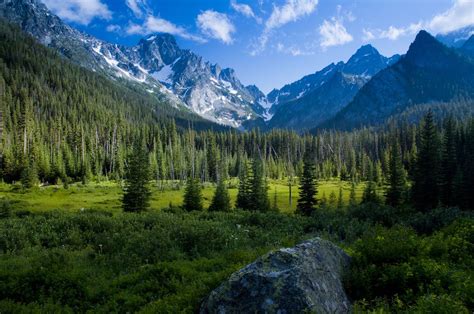 Apr 22, 2022 · Strengthening America’s forests, which are home to cherished expanses of mature and old-growth forests on Federal lands, is critical to the health, prosperity, and resilience of our communities ... 
